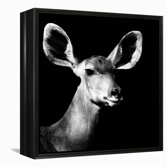 Safari Profile Collection - Antelope Impala Portrait Black Edition VI-Philippe Hugonnard-Framed Premier Image Canvas