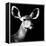 Safari Profile Collection - Antelope Impala Portrait Black Edition VI-Philippe Hugonnard-Framed Premier Image Canvas