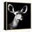 Safari Profile Collection - Antelope Impala Portrait Black Edition VI-Philippe Hugonnard-Framed Premier Image Canvas