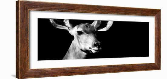 Safari Profile Collection - Antelope Impala Portrait Black Edition VIII-Philippe Hugonnard-Framed Photographic Print