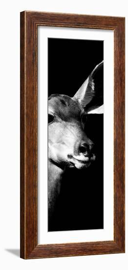 Safari Profile Collection - Antelope Impala Portrait Black Edition X-Philippe Hugonnard-Framed Photographic Print