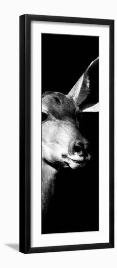 Safari Profile Collection - Antelope Impala Portrait Black Edition X-Philippe Hugonnard-Framed Photographic Print