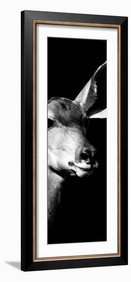 Safari Profile Collection - Antelope Impala Portrait Black Edition X-Philippe Hugonnard-Framed Photographic Print