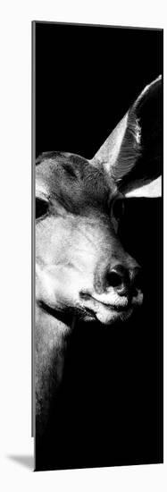 Safari Profile Collection - Antelope Impala Portrait Black Edition X-Philippe Hugonnard-Mounted Photographic Print