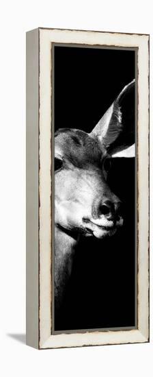 Safari Profile Collection - Antelope Impala Portrait Black Edition X-Philippe Hugonnard-Framed Premier Image Canvas
