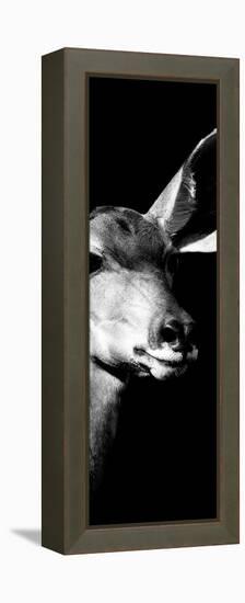 Safari Profile Collection - Antelope Impala Portrait Black Edition X-Philippe Hugonnard-Framed Premier Image Canvas