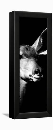 Safari Profile Collection - Antelope Impala Portrait Black Edition X-Philippe Hugonnard-Framed Premier Image Canvas