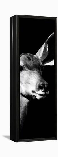 Safari Profile Collection - Antelope Impala Portrait Black Edition X-Philippe Hugonnard-Framed Premier Image Canvas