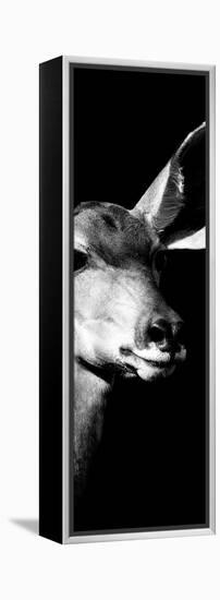 Safari Profile Collection - Antelope Impala Portrait Black Edition X-Philippe Hugonnard-Framed Premier Image Canvas