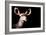 Safari Profile Collection - Antelope Impala Portrait Black Edition-Philippe Hugonnard-Framed Photographic Print