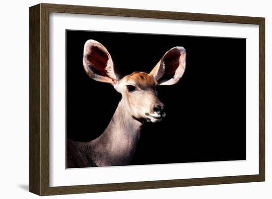 Safari Profile Collection - Antelope Impala Portrait Black Edition-Philippe Hugonnard-Framed Photographic Print