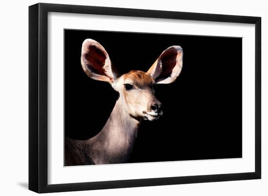 Safari Profile Collection - Antelope Impala Portrait Black Edition-Philippe Hugonnard-Framed Photographic Print