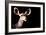 Safari Profile Collection - Antelope Impala Portrait Black Edition-Philippe Hugonnard-Framed Photographic Print