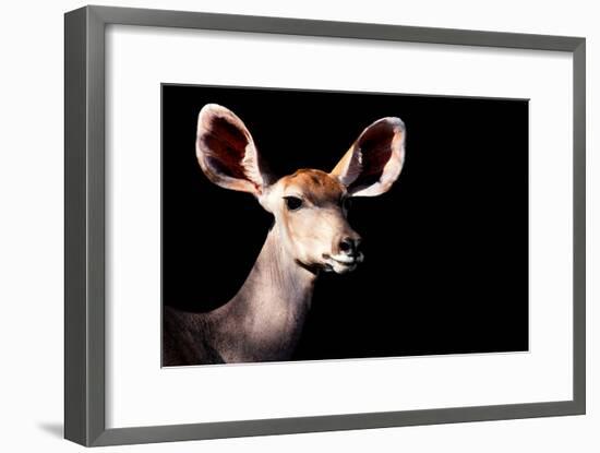 Safari Profile Collection - Antelope Impala Portrait Black Edition-Philippe Hugonnard-Framed Photographic Print