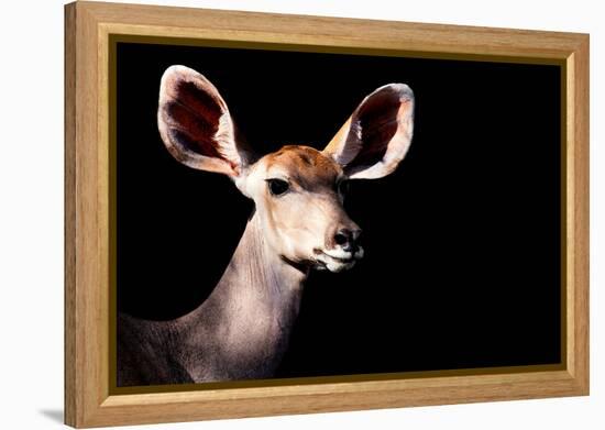 Safari Profile Collection - Antelope Impala Portrait Black Edition-Philippe Hugonnard-Framed Premier Image Canvas