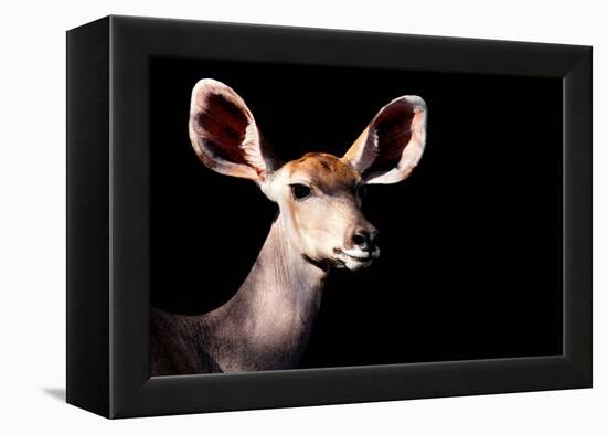 Safari Profile Collection - Antelope Impala Portrait Black Edition-Philippe Hugonnard-Framed Premier Image Canvas