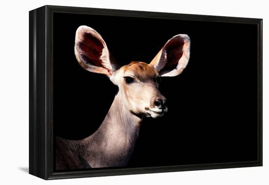 Safari Profile Collection - Antelope Impala Portrait Black Edition-Philippe Hugonnard-Framed Premier Image Canvas