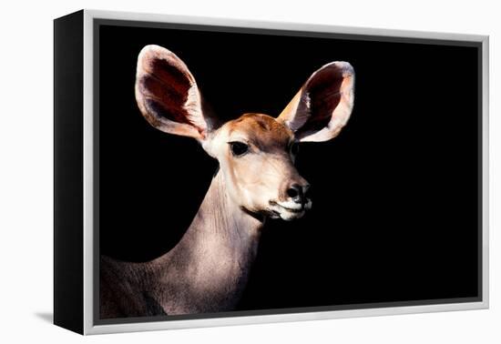 Safari Profile Collection - Antelope Impala Portrait Black Edition-Philippe Hugonnard-Framed Premier Image Canvas