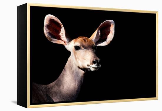 Safari Profile Collection - Antelope Impala Portrait Black Edition-Philippe Hugonnard-Framed Premier Image Canvas