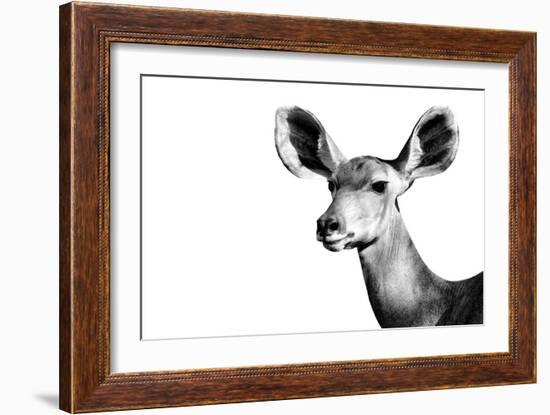 Safari Profile Collection - Antelope Impala Portrait White Edition II-Philippe Hugonnard-Framed Photographic Print