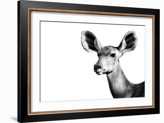 Safari Profile Collection - Antelope Impala Portrait White Edition II-Philippe Hugonnard-Framed Photographic Print