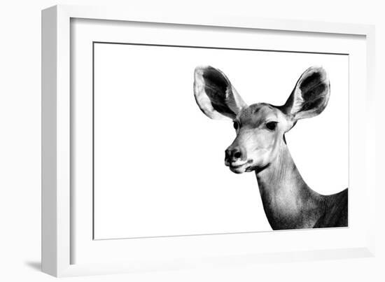 Safari Profile Collection - Antelope Impala Portrait White Edition II-Philippe Hugonnard-Framed Photographic Print