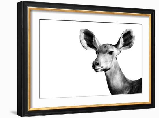 Safari Profile Collection - Antelope Impala Portrait White Edition II-Philippe Hugonnard-Framed Photographic Print