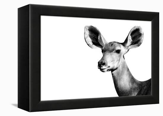 Safari Profile Collection - Antelope Impala Portrait White Edition II-Philippe Hugonnard-Framed Premier Image Canvas