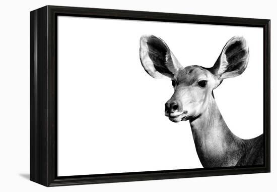 Safari Profile Collection - Antelope Impala Portrait White Edition II-Philippe Hugonnard-Framed Premier Image Canvas