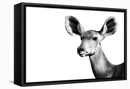 Safari Profile Collection - Antelope Impala Portrait White Edition II-Philippe Hugonnard-Framed Premier Image Canvas