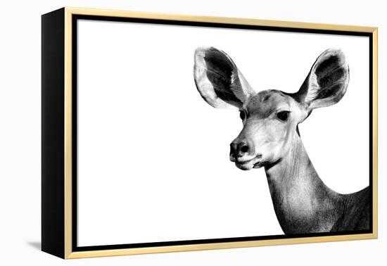 Safari Profile Collection - Antelope Impala Portrait White Edition II-Philippe Hugonnard-Framed Premier Image Canvas