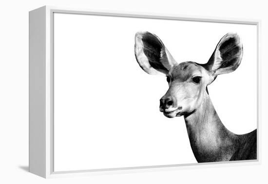 Safari Profile Collection - Antelope Impala Portrait White Edition II-Philippe Hugonnard-Framed Premier Image Canvas