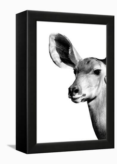 Safari Profile Collection - Antelope Impala Portrait White Edition IV-Philippe Hugonnard-Framed Premier Image Canvas