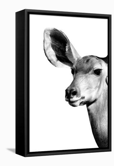 Safari Profile Collection - Antelope Impala Portrait White Edition IV-Philippe Hugonnard-Framed Premier Image Canvas