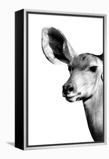 Safari Profile Collection - Antelope Impala Portrait White Edition IV-Philippe Hugonnard-Framed Premier Image Canvas
