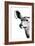 Safari Profile Collection - Antelope Impala Portrait White Edition IV-Philippe Hugonnard-Framed Photographic Print