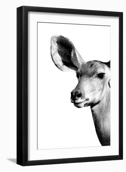 Safari Profile Collection - Antelope Impala Portrait White Edition IV-Philippe Hugonnard-Framed Photographic Print