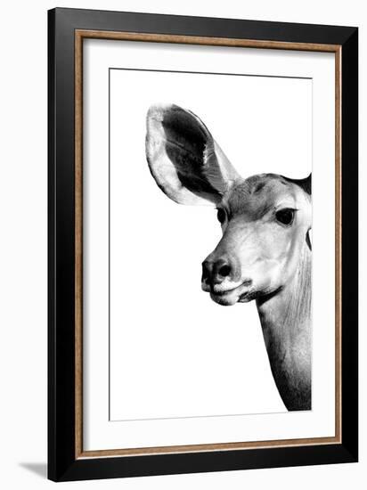 Safari Profile Collection - Antelope Impala Portrait White Edition IV-Philippe Hugonnard-Framed Photographic Print