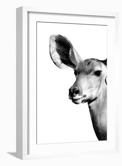 Safari Profile Collection - Antelope Impala Portrait White Edition IV-Philippe Hugonnard-Framed Photographic Print