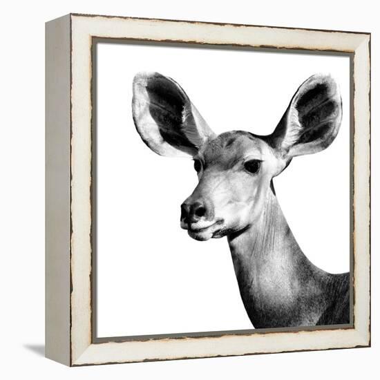 Safari Profile Collection - Antelope Impala Portrait White Edition VI-Philippe Hugonnard-Framed Premier Image Canvas