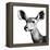 Safari Profile Collection - Antelope Impala Portrait White Edition VI-Philippe Hugonnard-Framed Premier Image Canvas