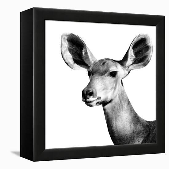 Safari Profile Collection - Antelope Impala Portrait White Edition VI-Philippe Hugonnard-Framed Premier Image Canvas