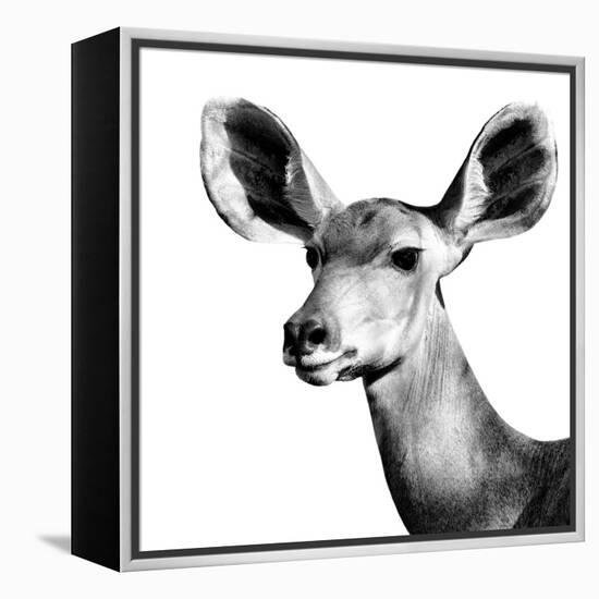 Safari Profile Collection - Antelope Impala Portrait White Edition VI-Philippe Hugonnard-Framed Premier Image Canvas