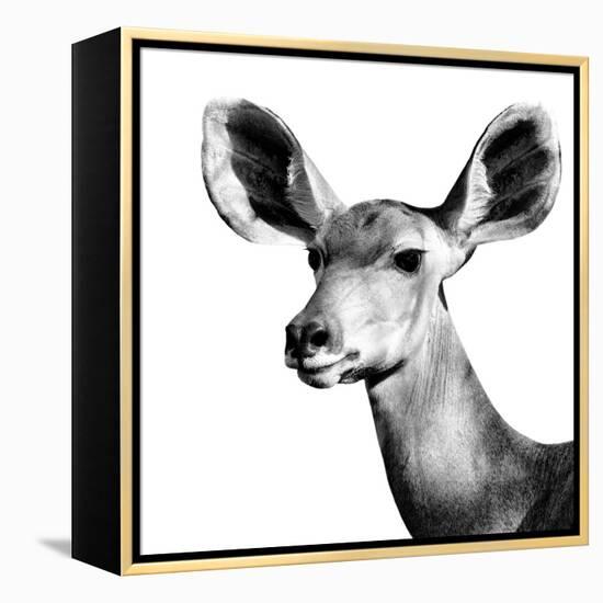 Safari Profile Collection - Antelope Impala Portrait White Edition VI-Philippe Hugonnard-Framed Premier Image Canvas