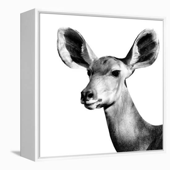 Safari Profile Collection - Antelope Impala Portrait White Edition VI-Philippe Hugonnard-Framed Premier Image Canvas