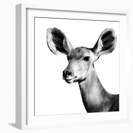 Safari Profile Collection - Antelope Impala Portrait White Edition VI-Philippe Hugonnard-Framed Photographic Print