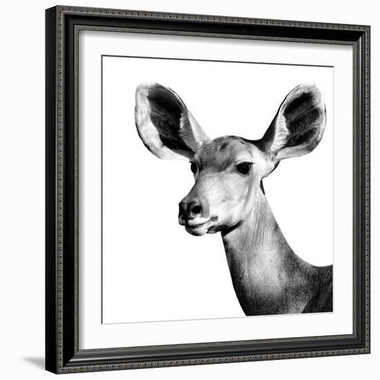 Safari Profile Collection - Antelope Impala Portrait White Edition VI-Philippe Hugonnard-Framed Photographic Print