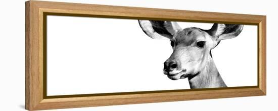 Safari Profile Collection - Antelope Impala Portrait White Edition VIII-Philippe Hugonnard-Framed Premier Image Canvas