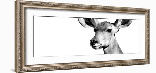 Safari Profile Collection - Antelope Impala Portrait White Edition VIII-Philippe Hugonnard-Framed Photographic Print