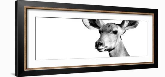 Safari Profile Collection - Antelope Impala Portrait White Edition VIII-Philippe Hugonnard-Framed Photographic Print